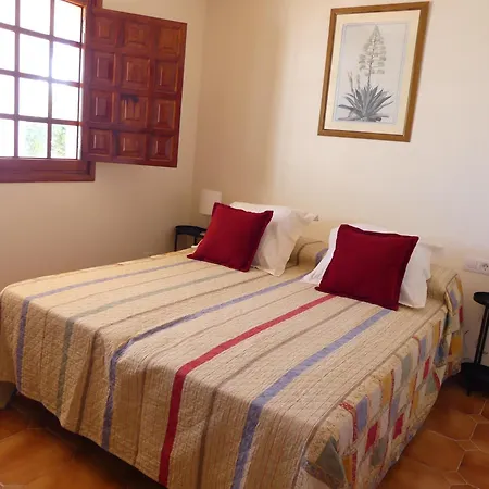 The Mango House 圣克鲁斯-德特内里费