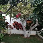 Villa The Mango House Santa-Cruz de Ténérife