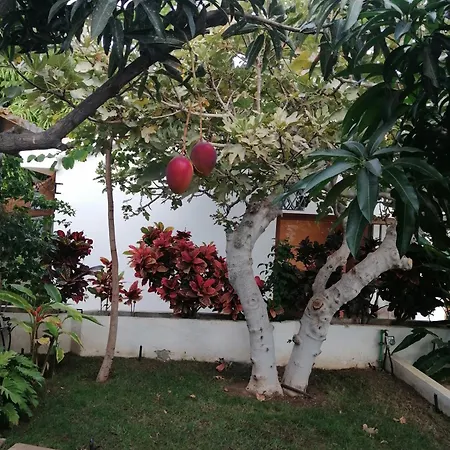 빌라 The Mango House 산타크루스데 테네리페