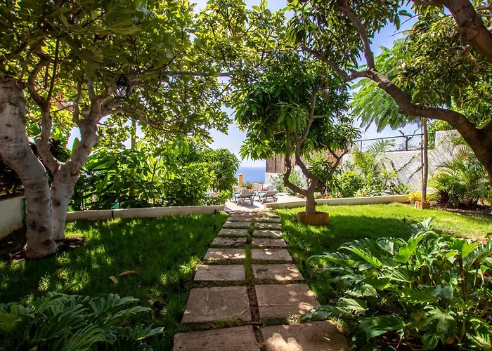 Villa The Mango House *