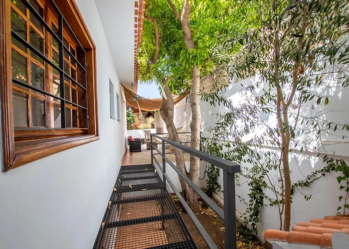 فيلة The Mango House