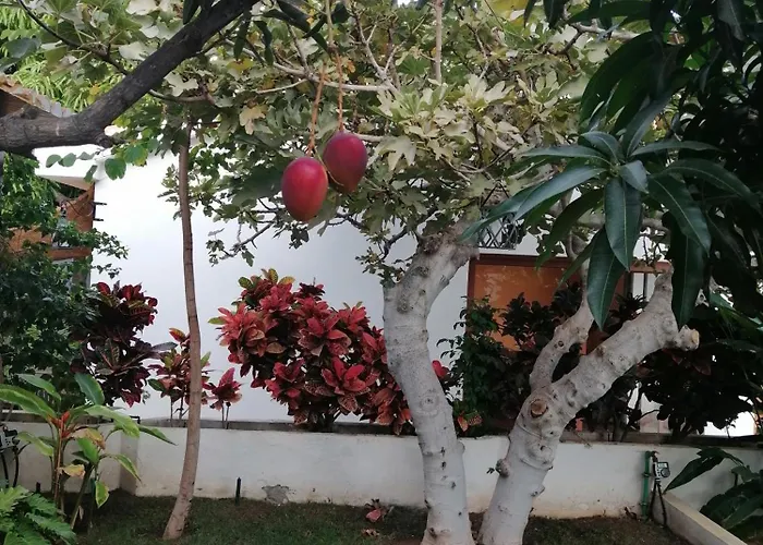 Willa The Mango House Santa Cruz de Tenerife